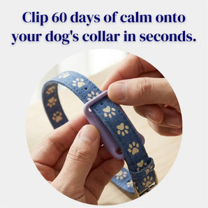 Petensia® Pheromone Tags for Dogs